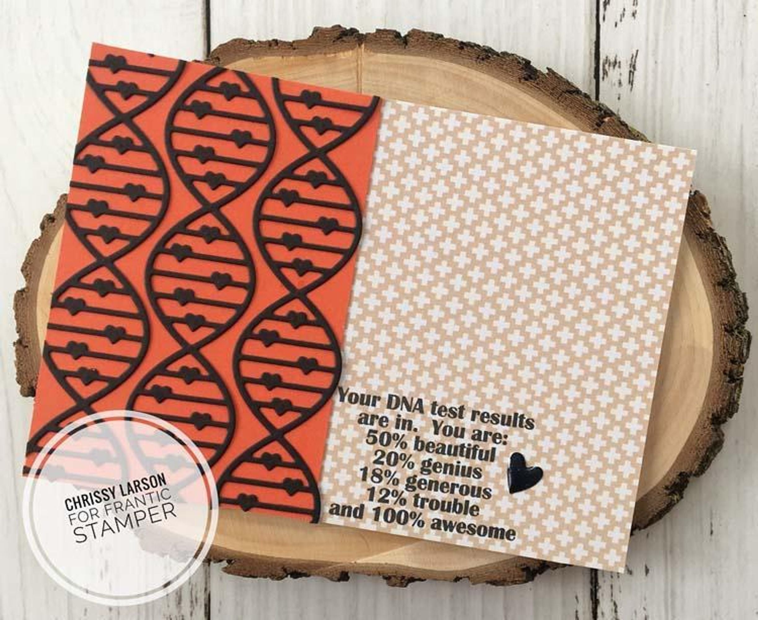 Frantic Stamper Clear Stamp Set - Our DNA