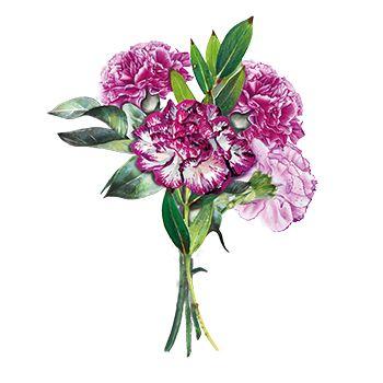 Hearty Crafts Easy 3D Toppers - Flowers