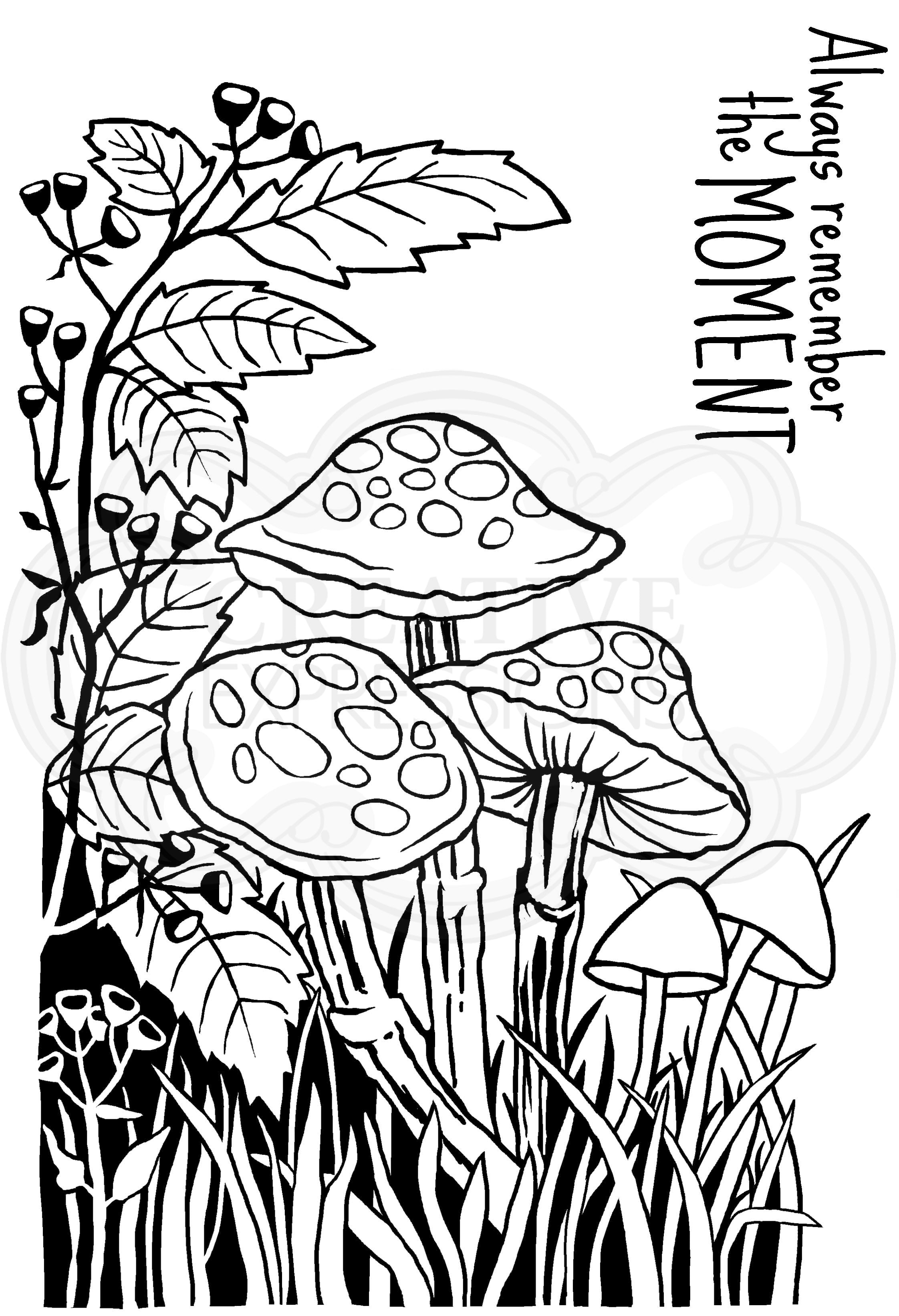 Woodware Clear Singles Lino Cut - Toadstools  4 in x 6 in Stamp
