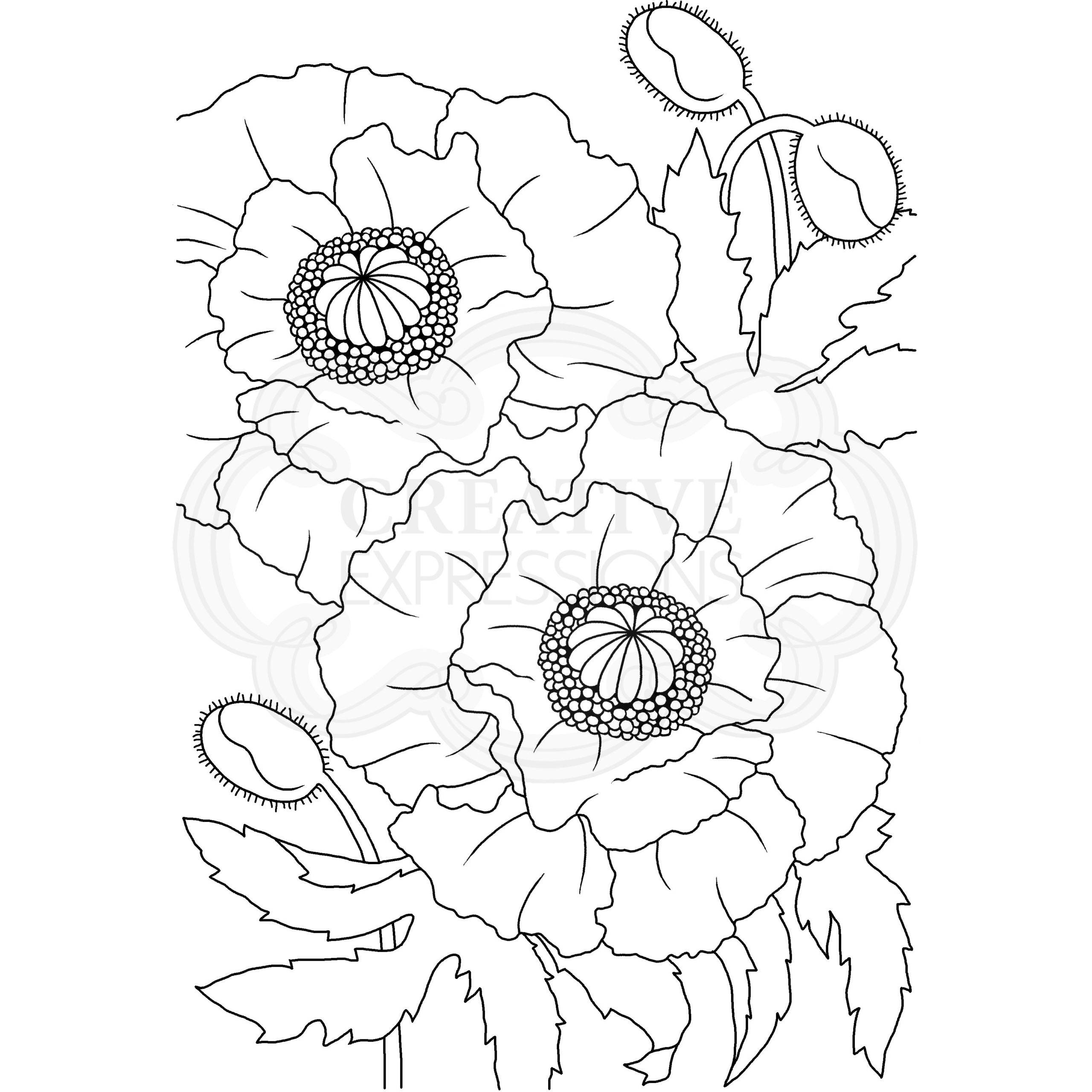 Woodware Clear Singles Poppies  4 in x 6 in Stamp