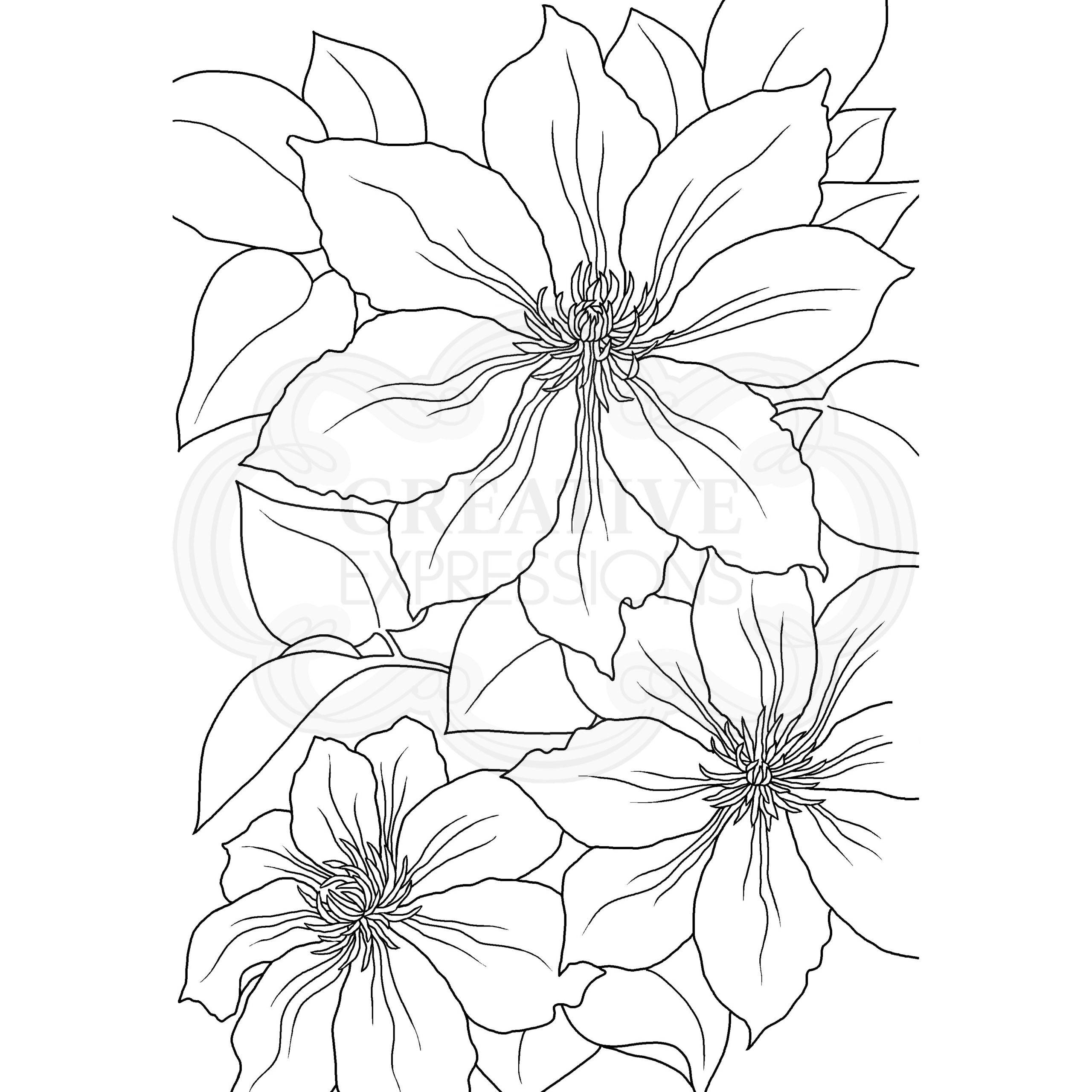 Woodware Clear Singles Clematis 4 in x 6 in Stamp