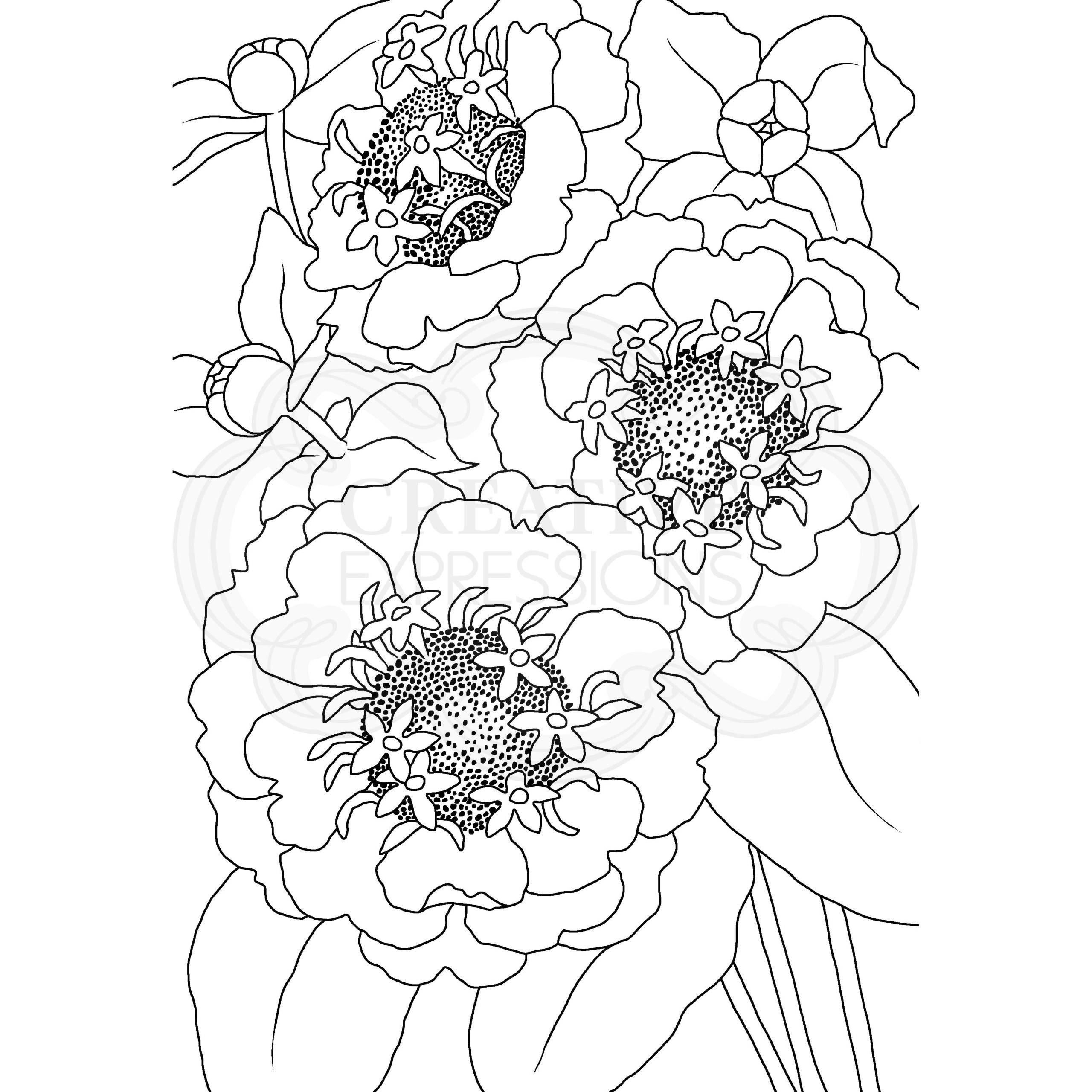 Woodware Clear Singles Zinnia 4 in x 6 in Stamp