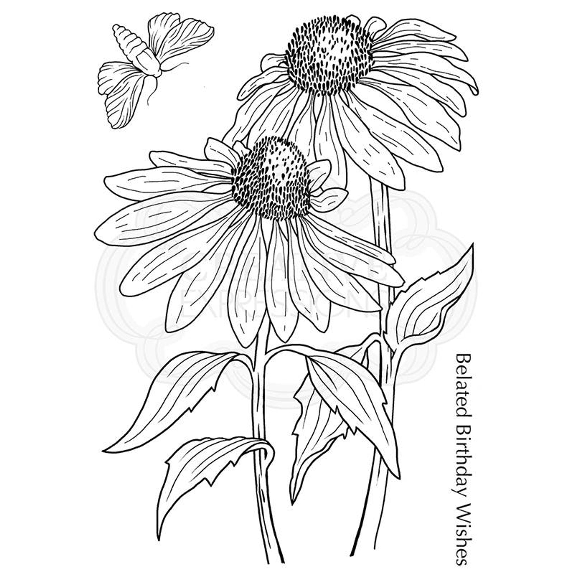 Woodware Clear Singles Echinacea and Moth 4 in x 6 in Stamp