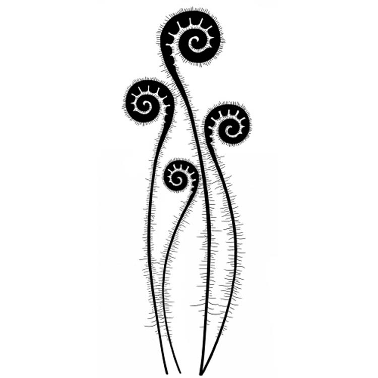 Lavinia Stamp - Fern Heads