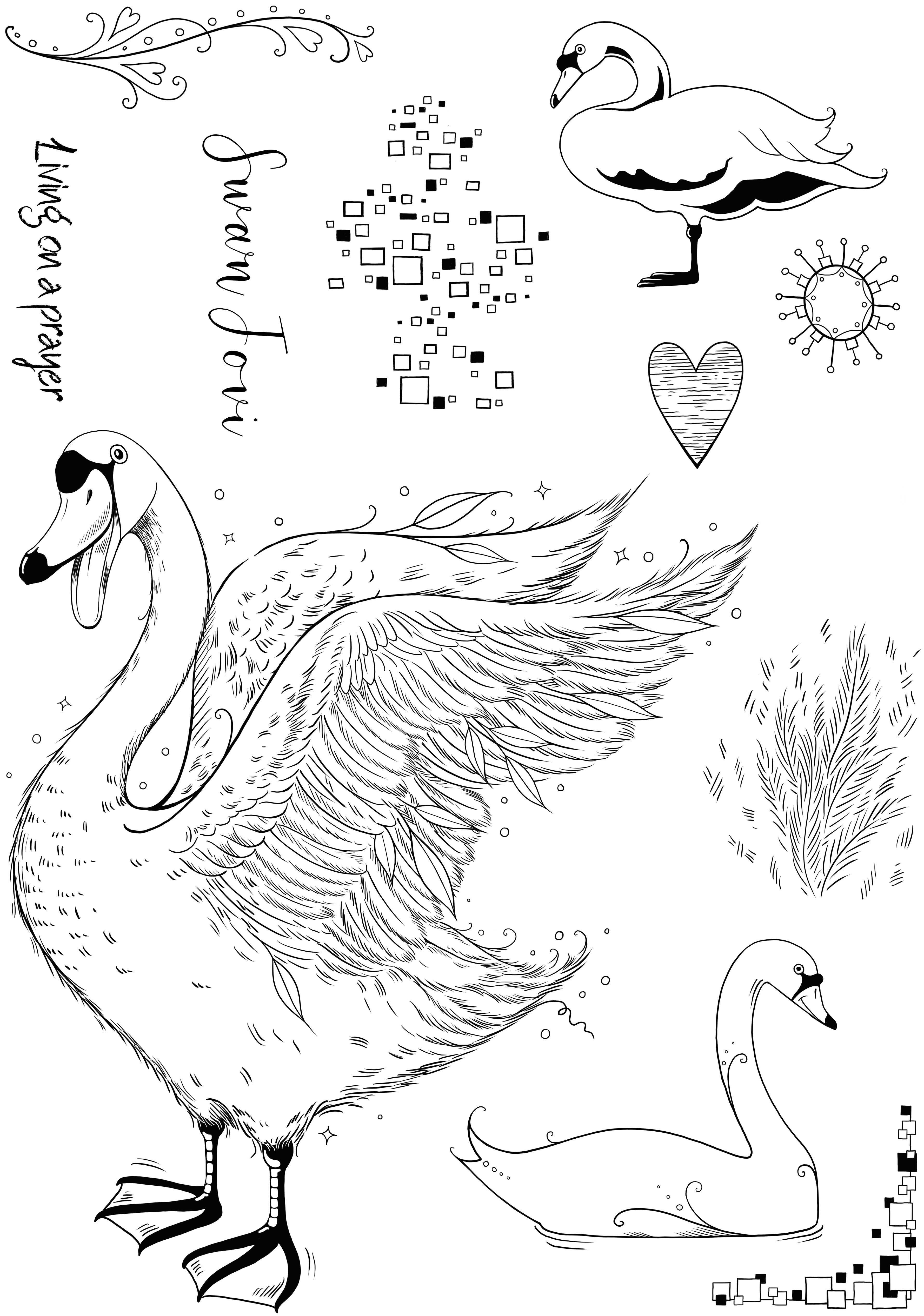 Pink Ink Designs Swan Jovi 6 in x 8 in Clear Stamp Set