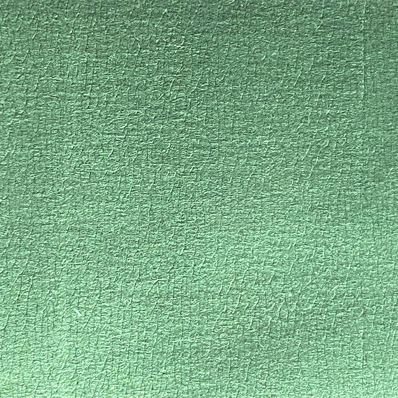 #colour_bottle green shimmer