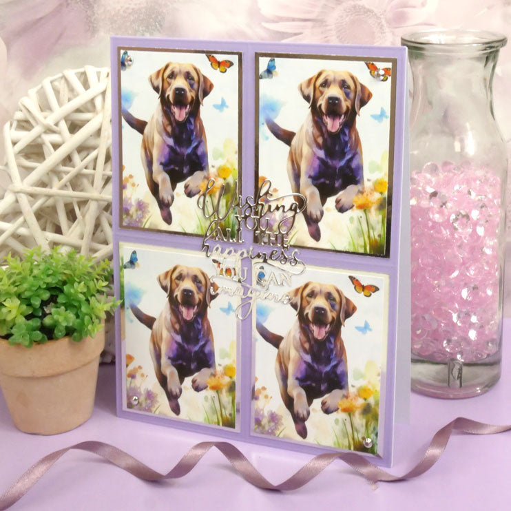 Pocket Pads - Perfect Pets