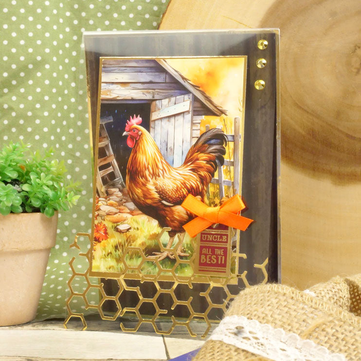 Pocket Pads - Perfect Pets