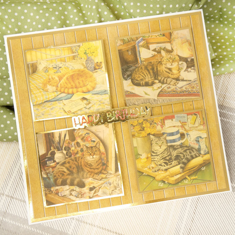 Purr-fect Days Printed Parchment