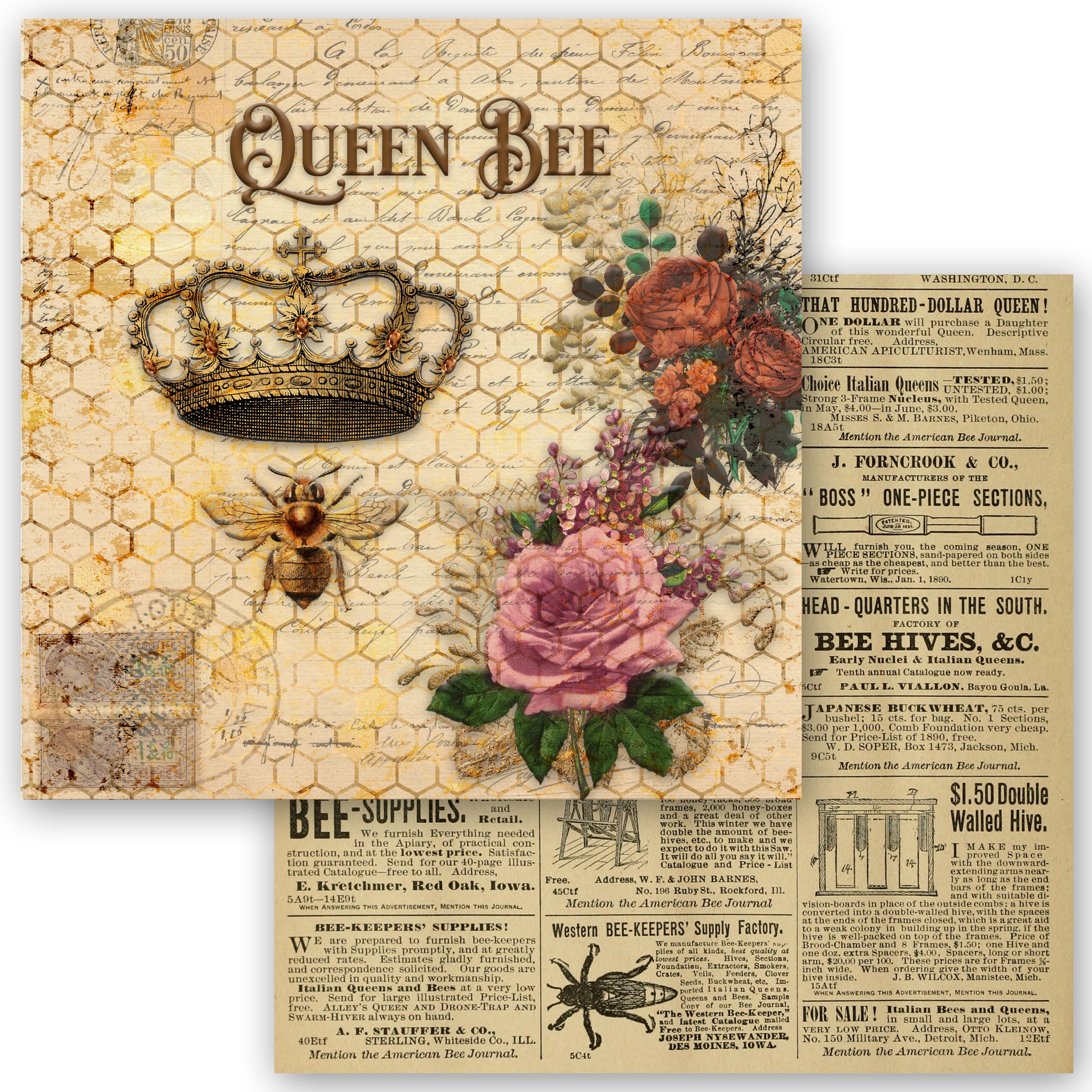 Queen Bee Collection Scrapbook Set - 6" x 6"