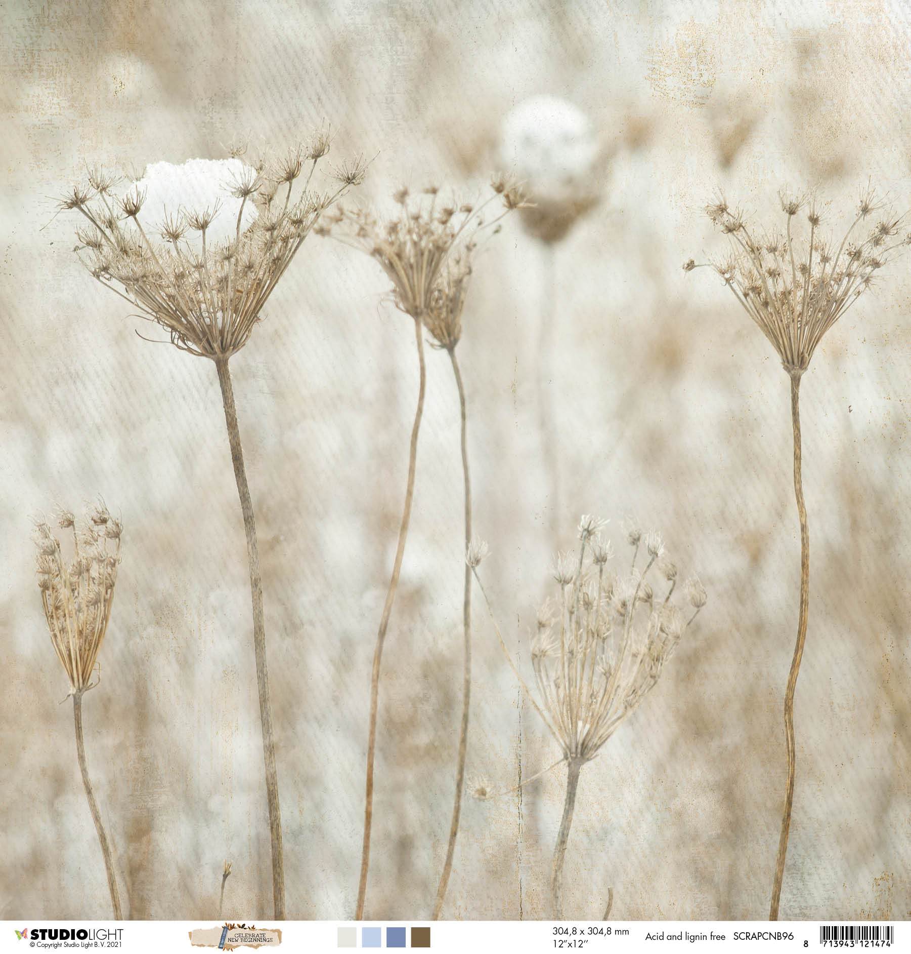 Scrap 200gr Celebrate New Beginnings 305x305mm nr.96