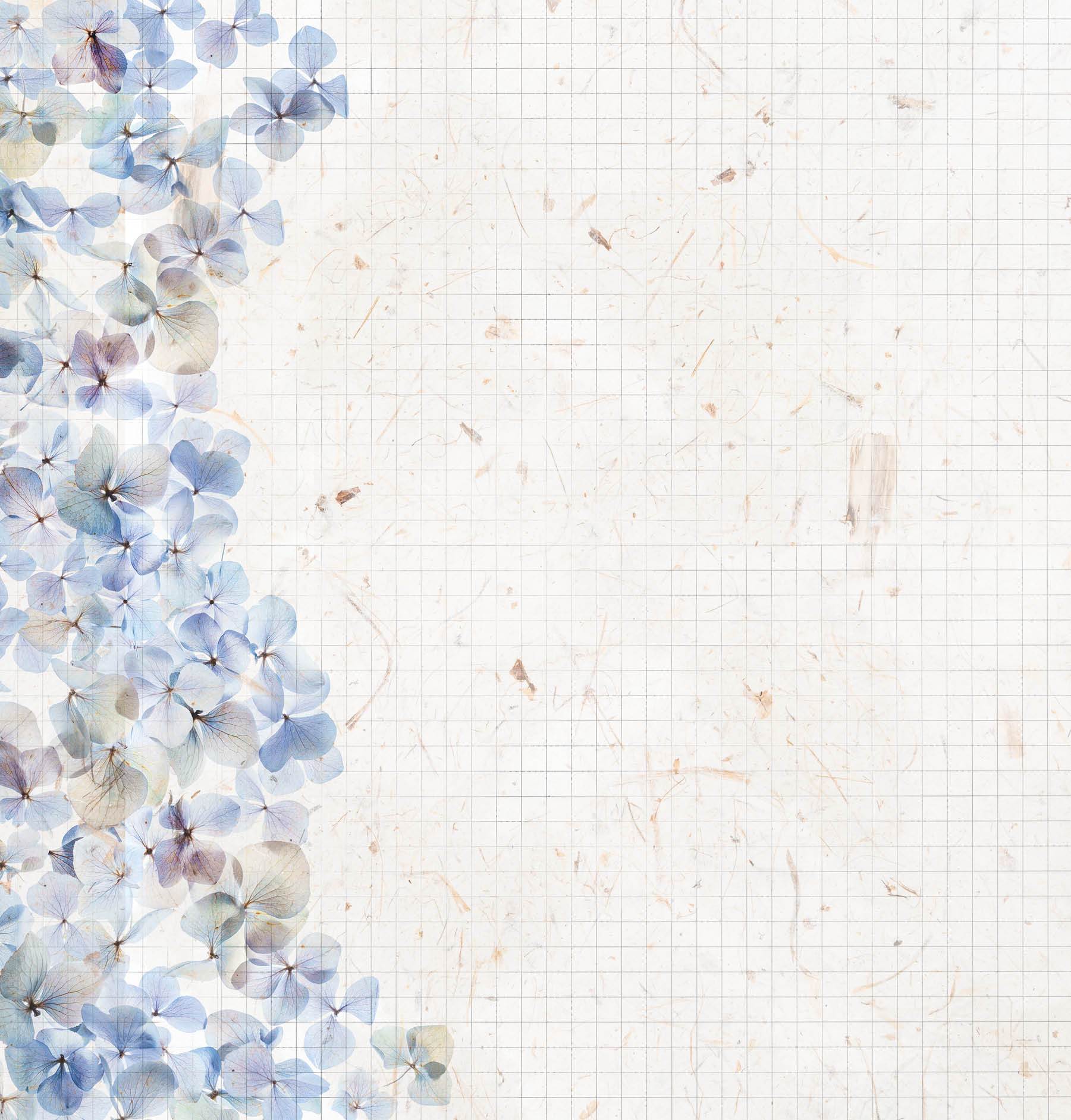 Scrap 200gr Celebrate New Beginnings 305x305mm nr.96