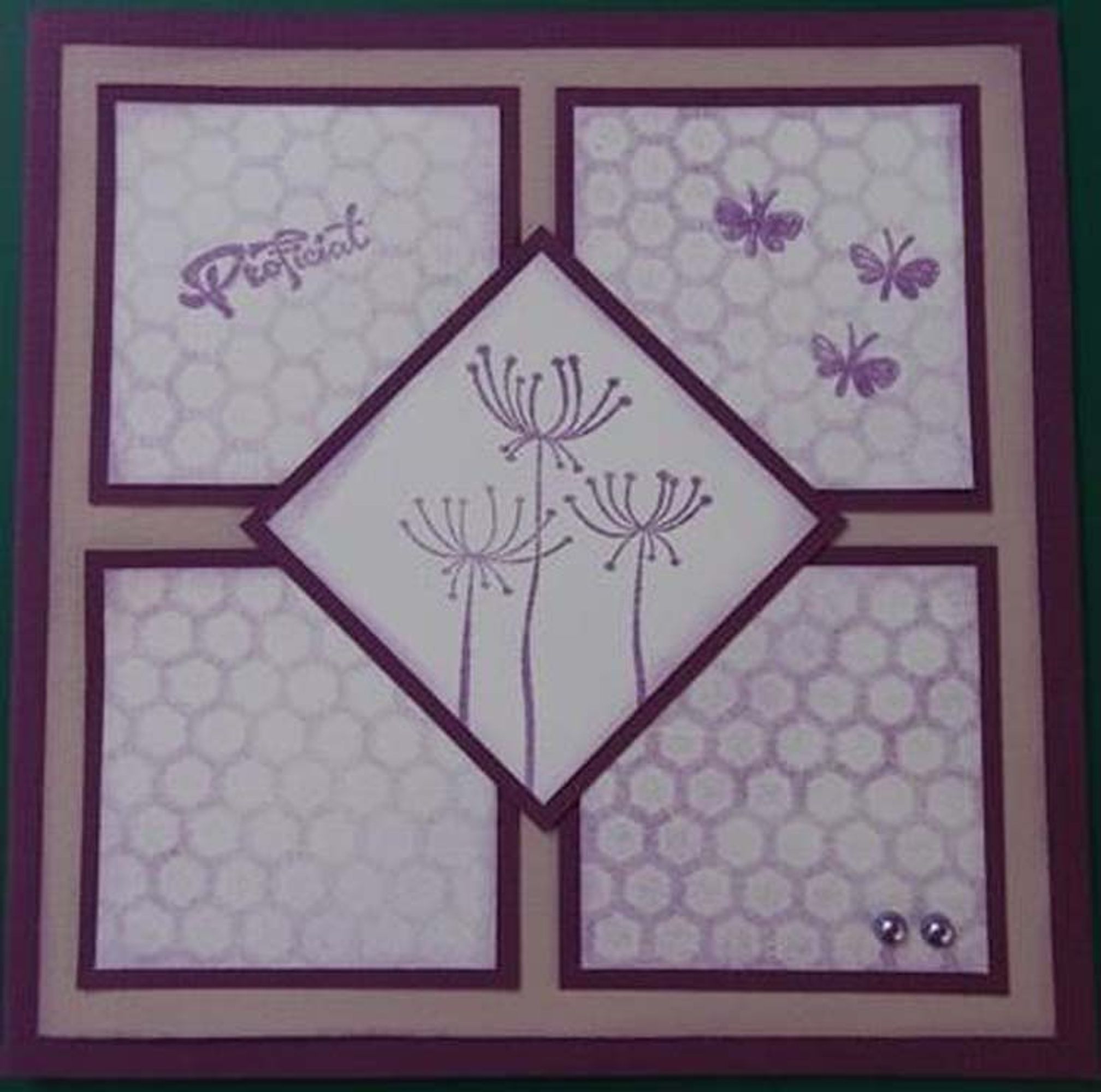 Nellie's Choice - Clear Stamp Silhouette Herbs 1
