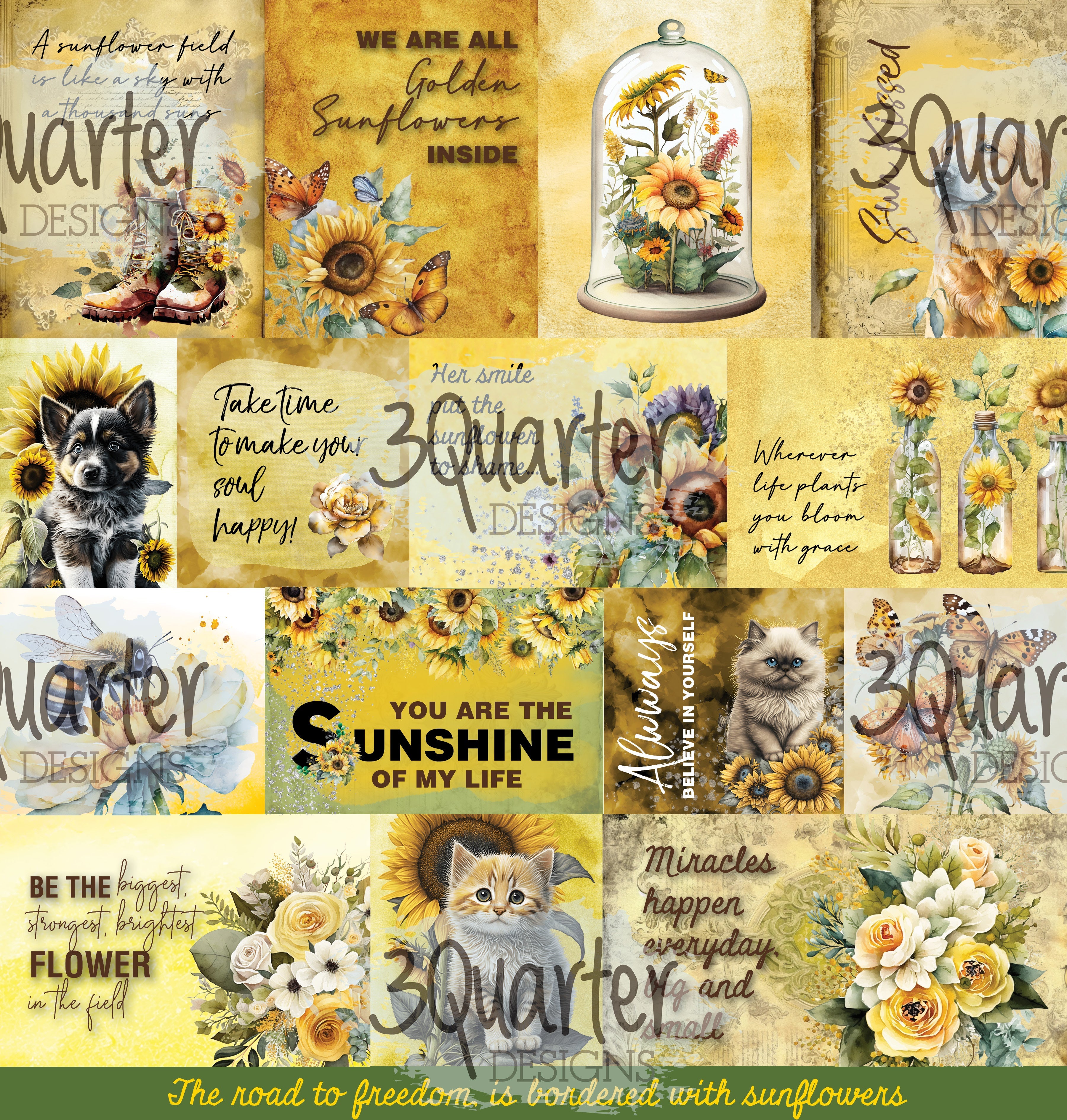 Sunflower Elixir 12x12 Collection Pack