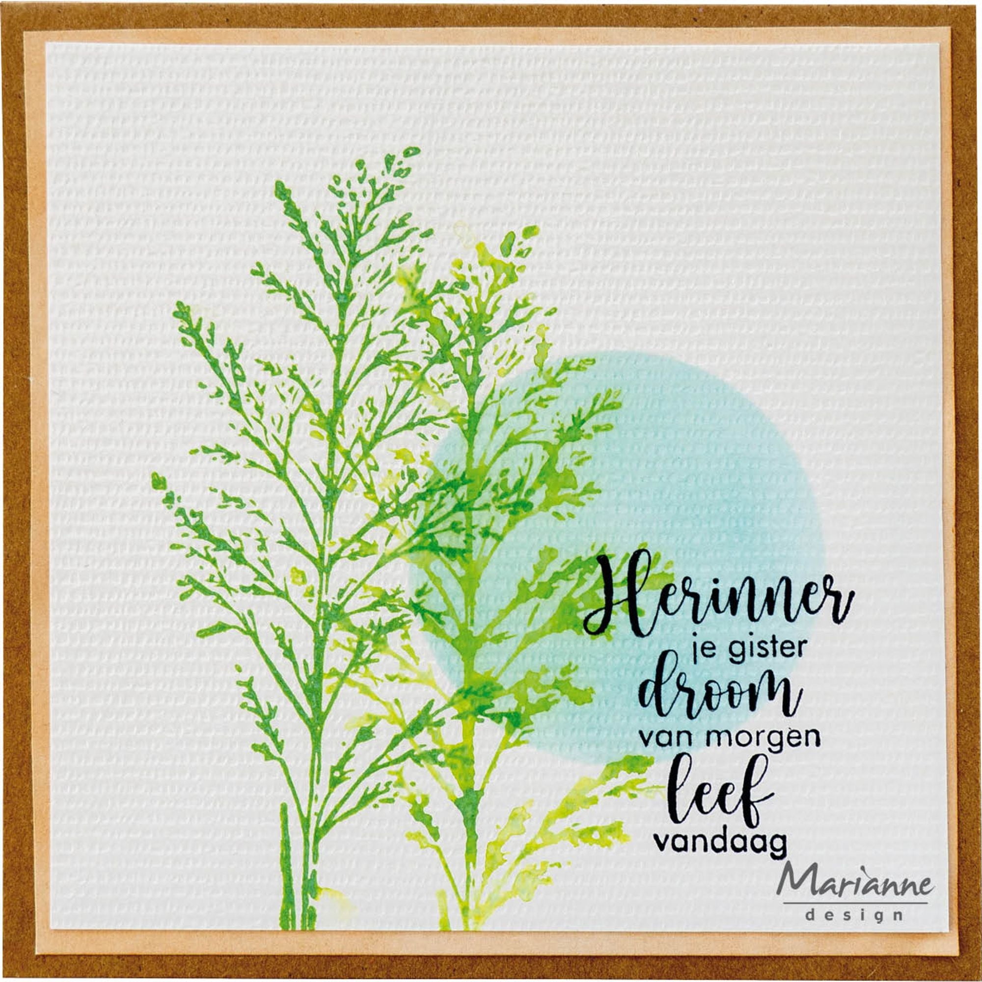 Marianne Design Clear Stamp - Tiny's Border - Indian Grass