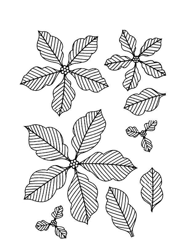 Sue Wilson Stamps - Pinstriped Poinsettias