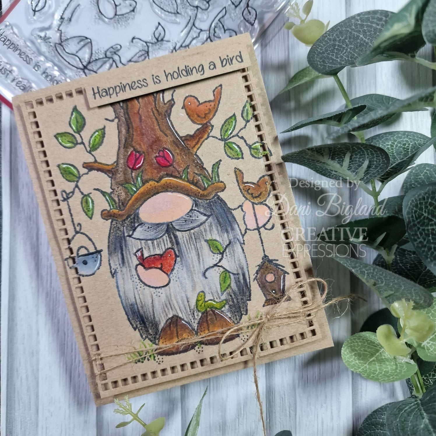 Woodware Clear Singles Birdwatching  4 in x 6 in Stamp Set