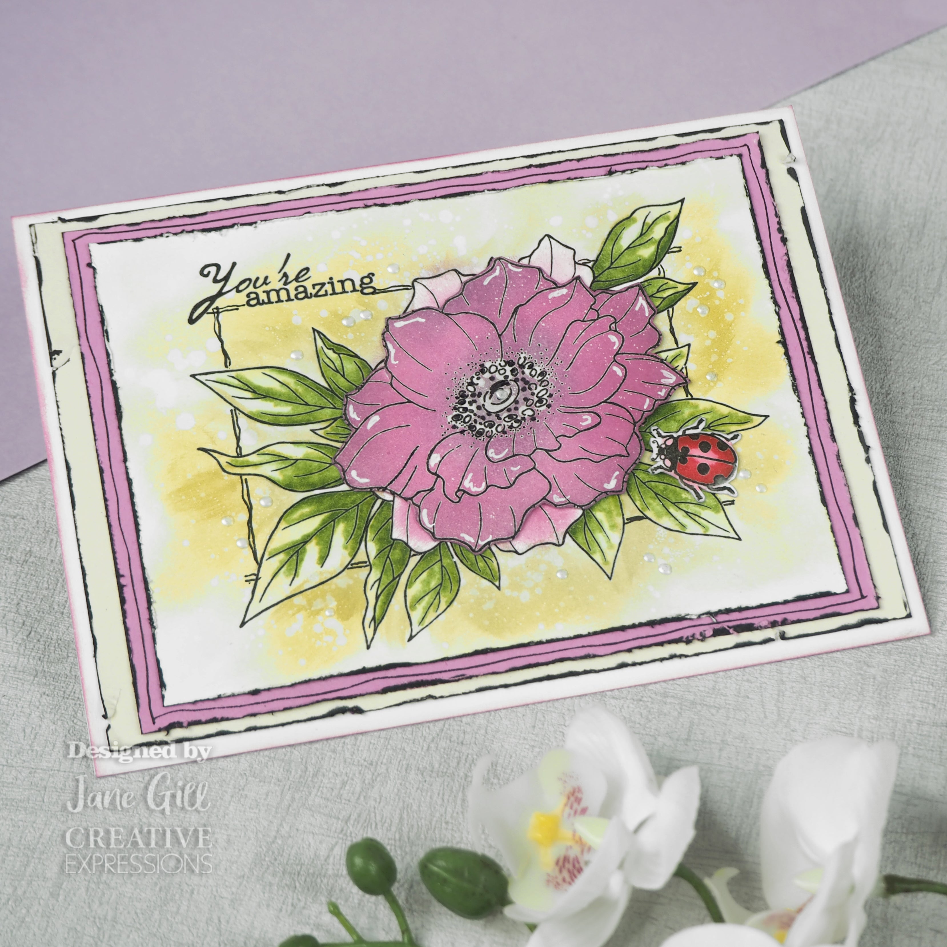 Woodware Clear Singles Anemone 4 in x 6 in Stamp