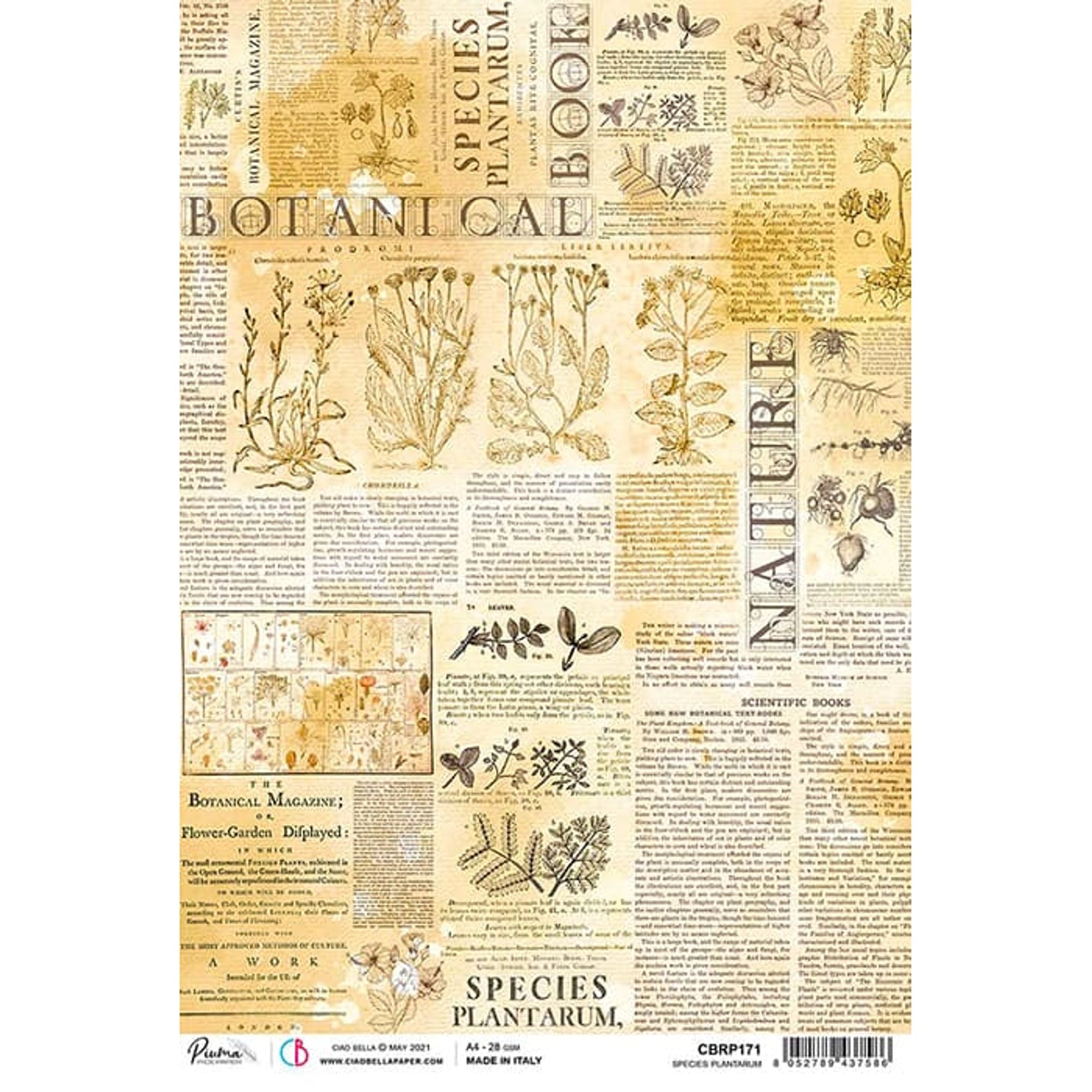 Ciao Bella Rice Paper A4 Species Plantarum
