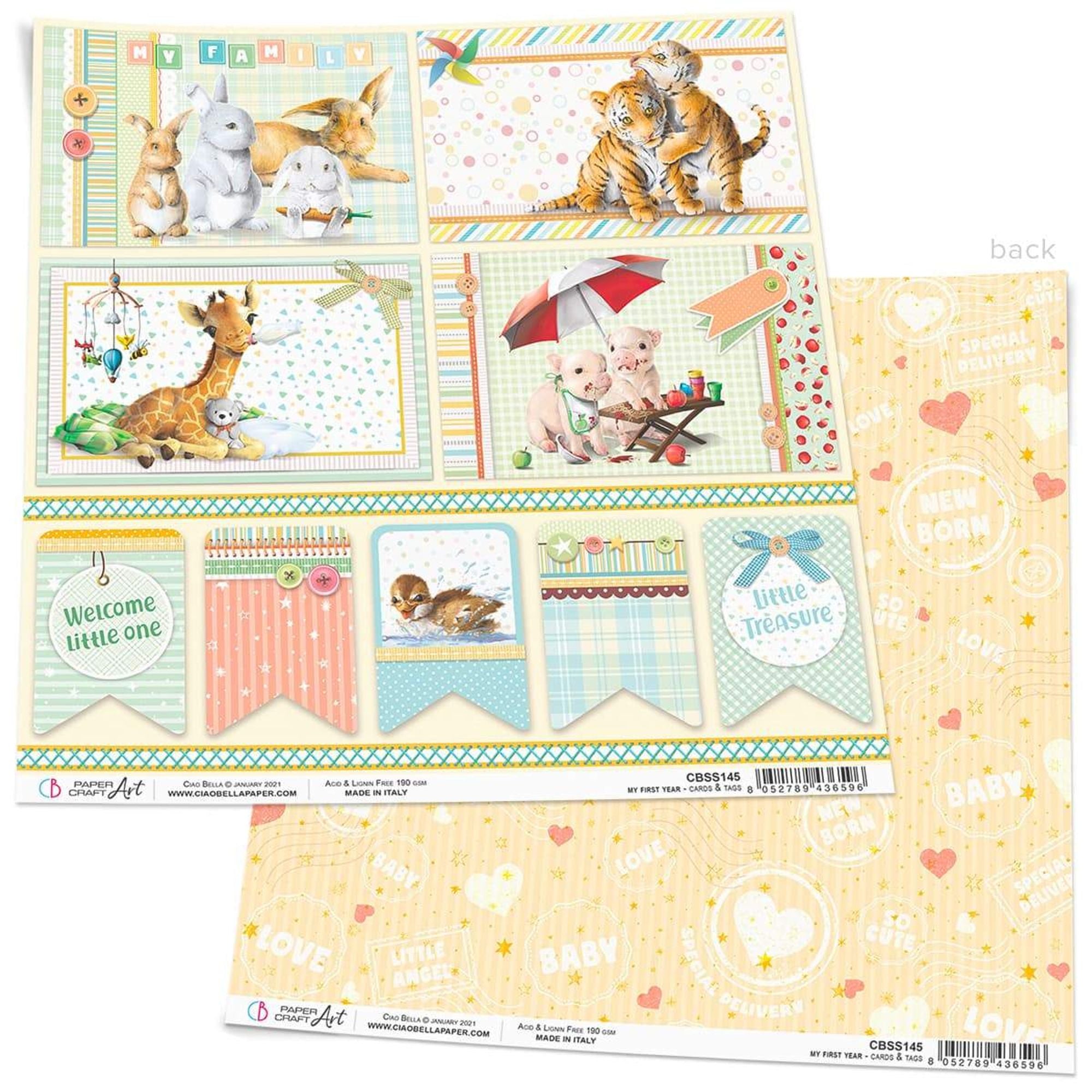 Ciao Bella My First Year Cards & Tags Paper Sheet 12"x12" 1 Sheet