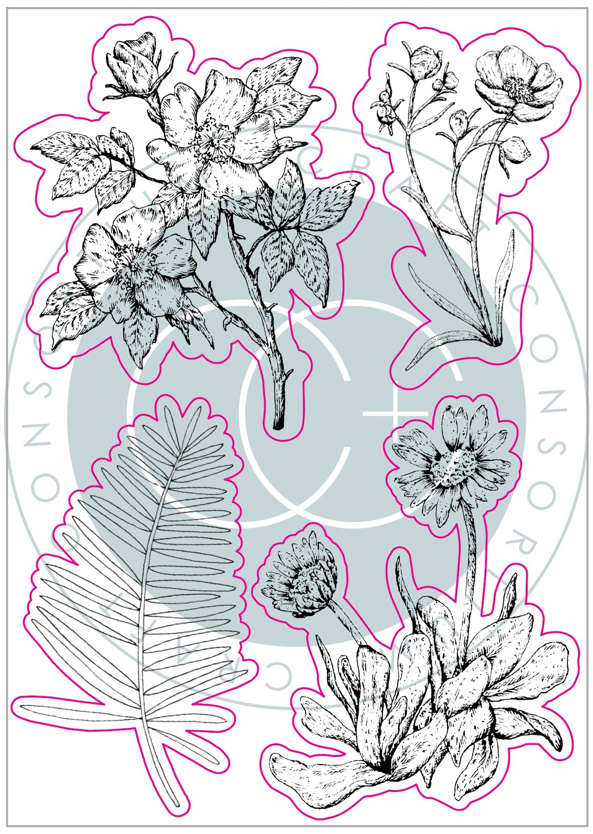 At home in the wildflowers - Stamp Set - Flora