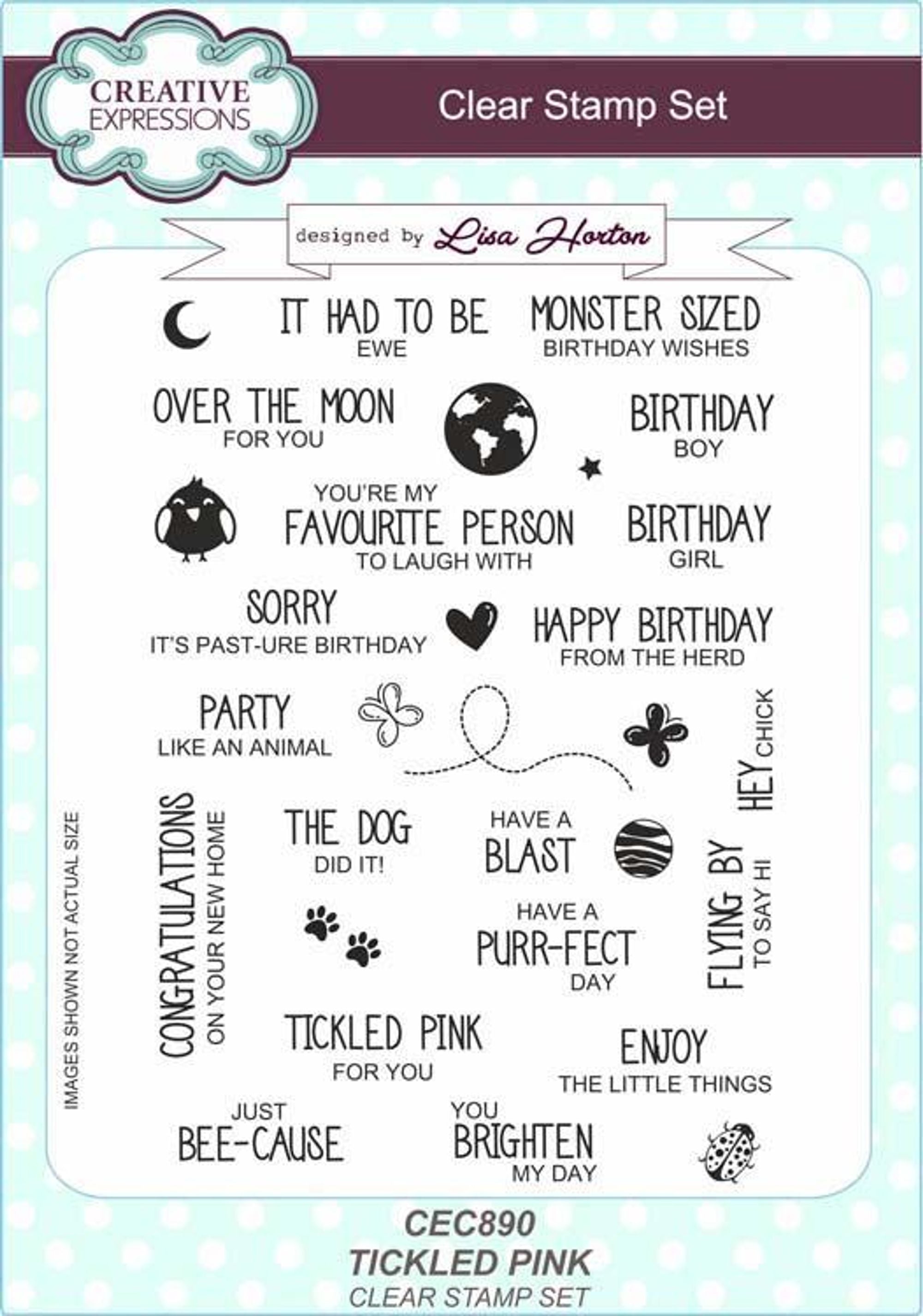 Creative Expressions Tickled Pink Sentiments A5 Clear Stamp Set