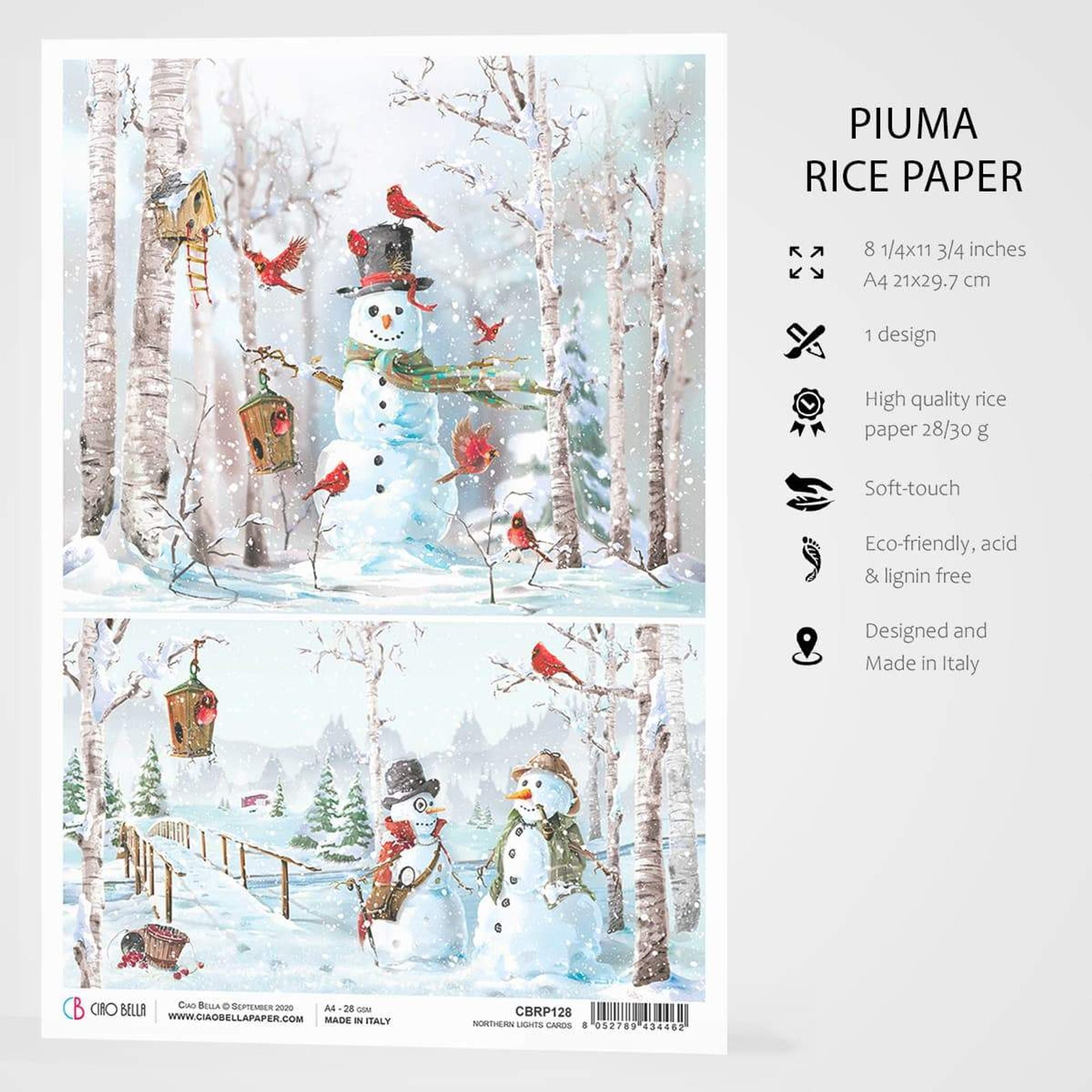 Ciao Bella Rice Paper A4 Northern Lights Cards
