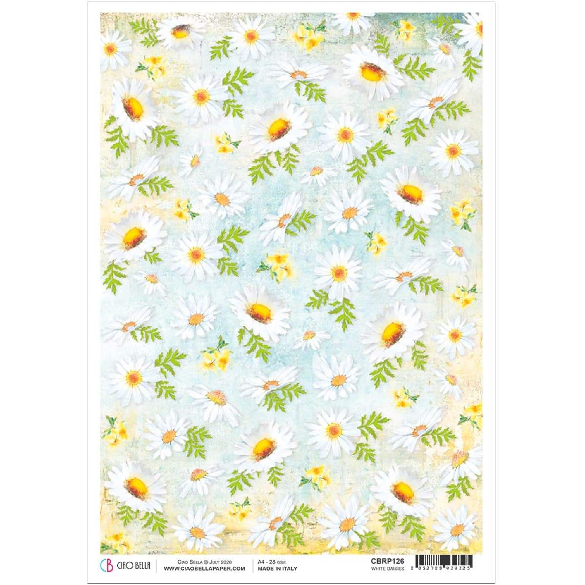 Ciao Bella Rice Paper A4 White Daisies