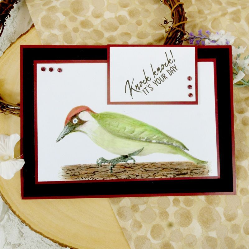 For The Love Of Stamps - Layering Woodpecker
