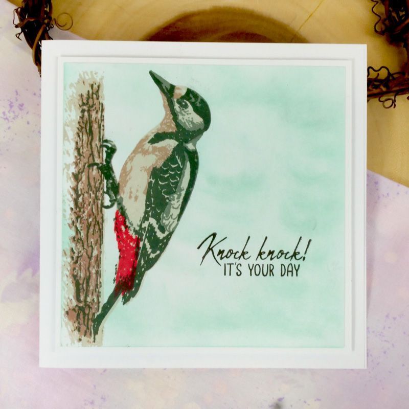 For The Love Of Stamps - Layering Woodpecker