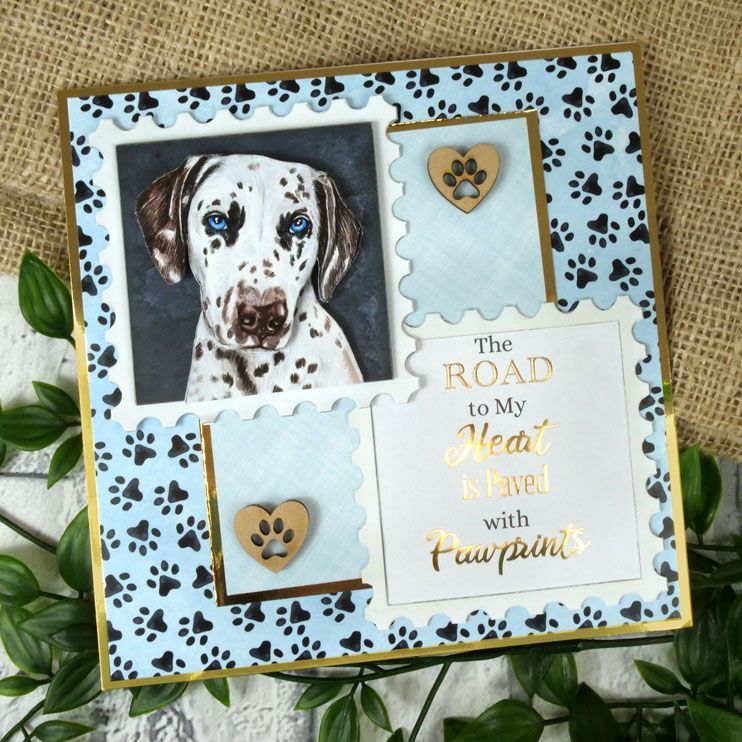 Pawsome Portraits Luxury Foiled Card Inserts
