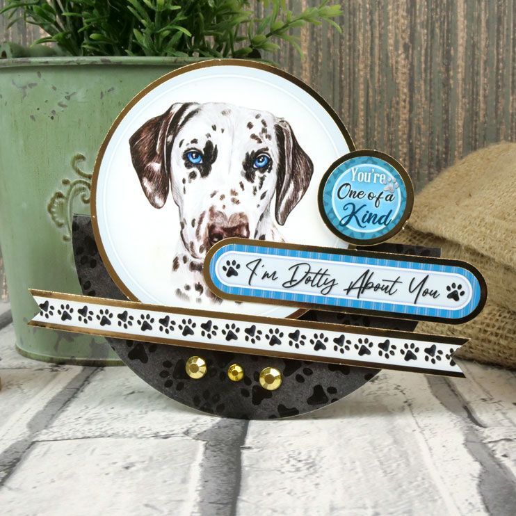 Pawsome Portraits Luxury Card Toppers